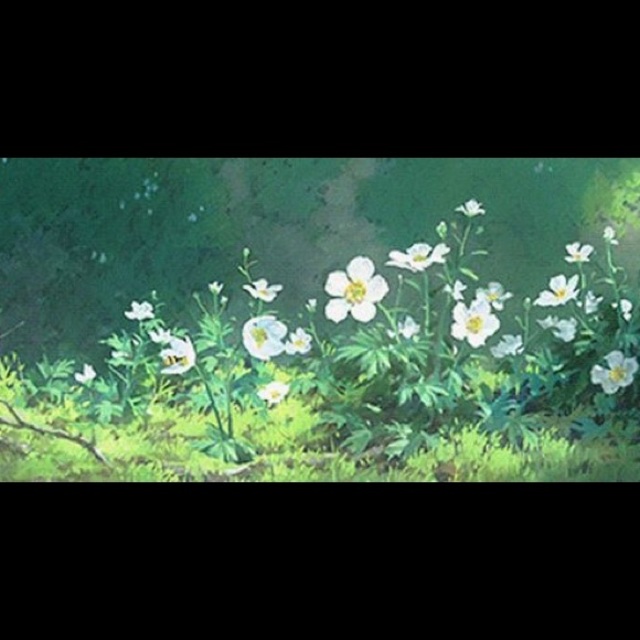 Poshmark banner for @sofja